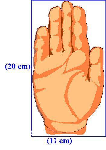 汽車(chē)零部件 汽車(chē)零部件
