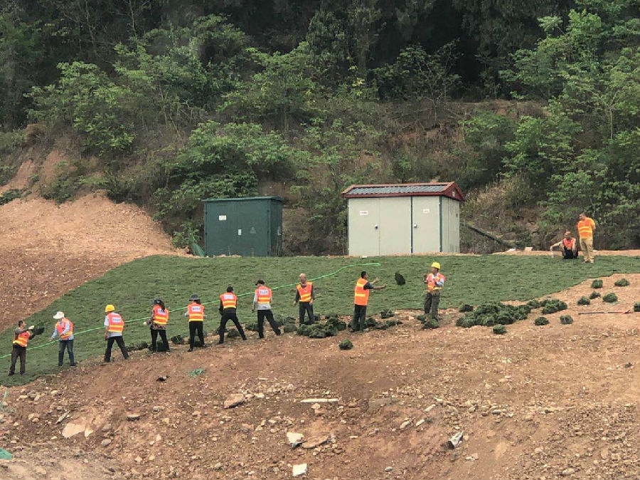 路橋公司認(rèn)真高效完成S205線老龍山隧道護(hù)坡綠化工作1.jpg 5cc4c62cd4a7f8d1b5f7753885542c2f.jpg